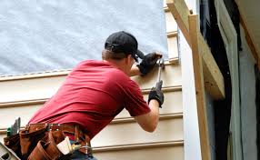 Best Vinyl Siding Installation  in Le Sueur, MN